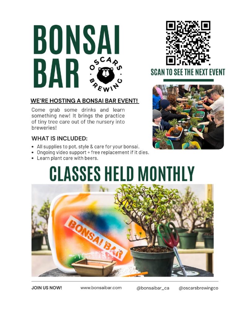 Bonsai Bar at O B C Classes held monthly